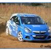 DSC_7610 Kopie